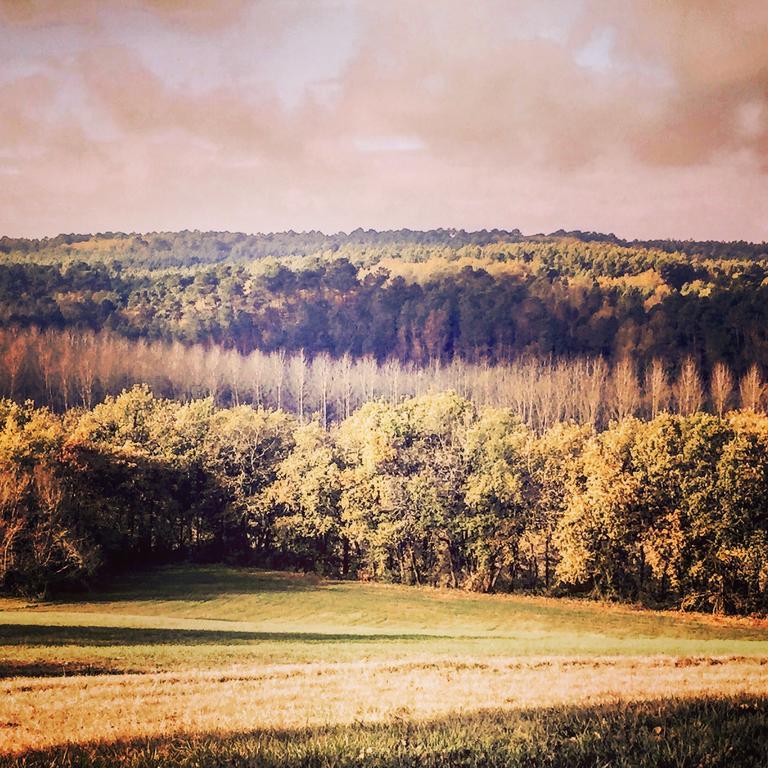 Chateau D'Hordosse Andiran Bagian luar foto